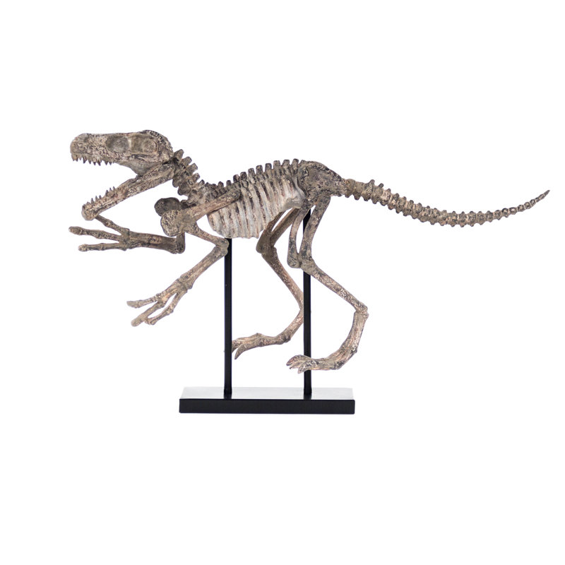 buildable dinosaur skeleton